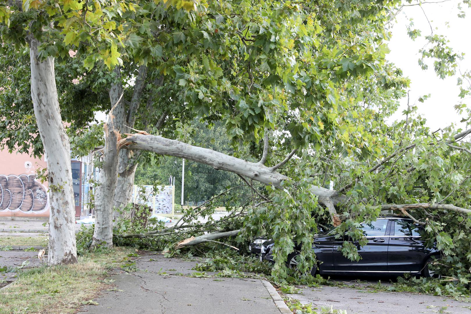 20.07.2023., Zagreb - Posljedice oluje koja je jucer poharala Zagreb i veliki dio Hrvatske i danas se vide na ulicam grada. Sve sluzbe nastavljaju raditi na rasciscavanju. Photo: Patrik Macek/PIXSELL