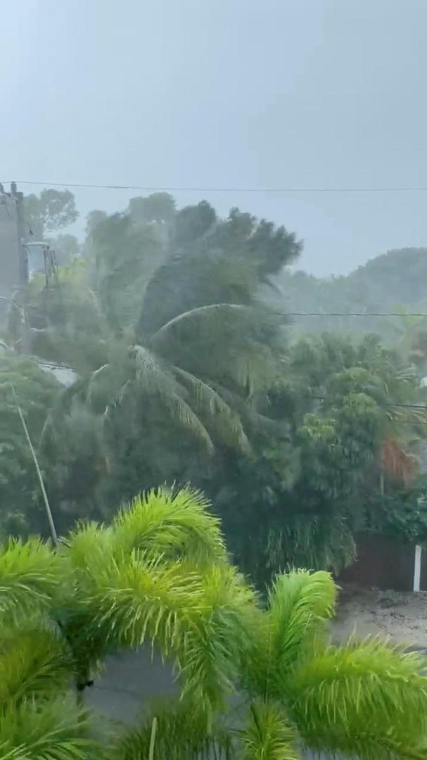 A view of trees swaying during heavy rain, due to Hurricane Ian, in Key West, Florida, U.S., September 27, 2022, in this still image taken from a social media video. Victoria Bollea/via REUTERS  THIS IMAGE HAS BEEN SUPPLIED BY A THIRD PARTY. MANDATORY CREDIT. NO RESALES. NO ARCHIVES. Photo: VICTORIA BOLLEA/REUTERS