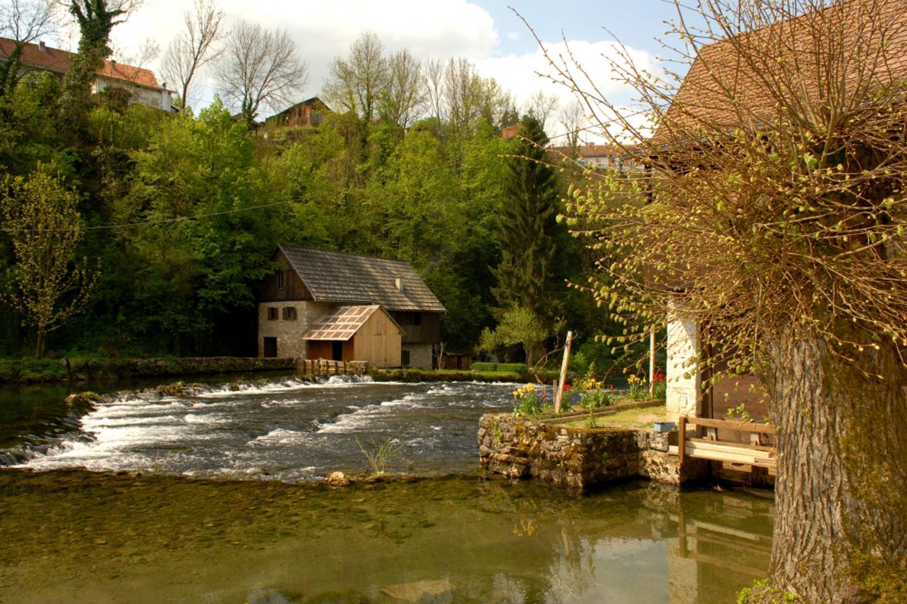 slunjčica