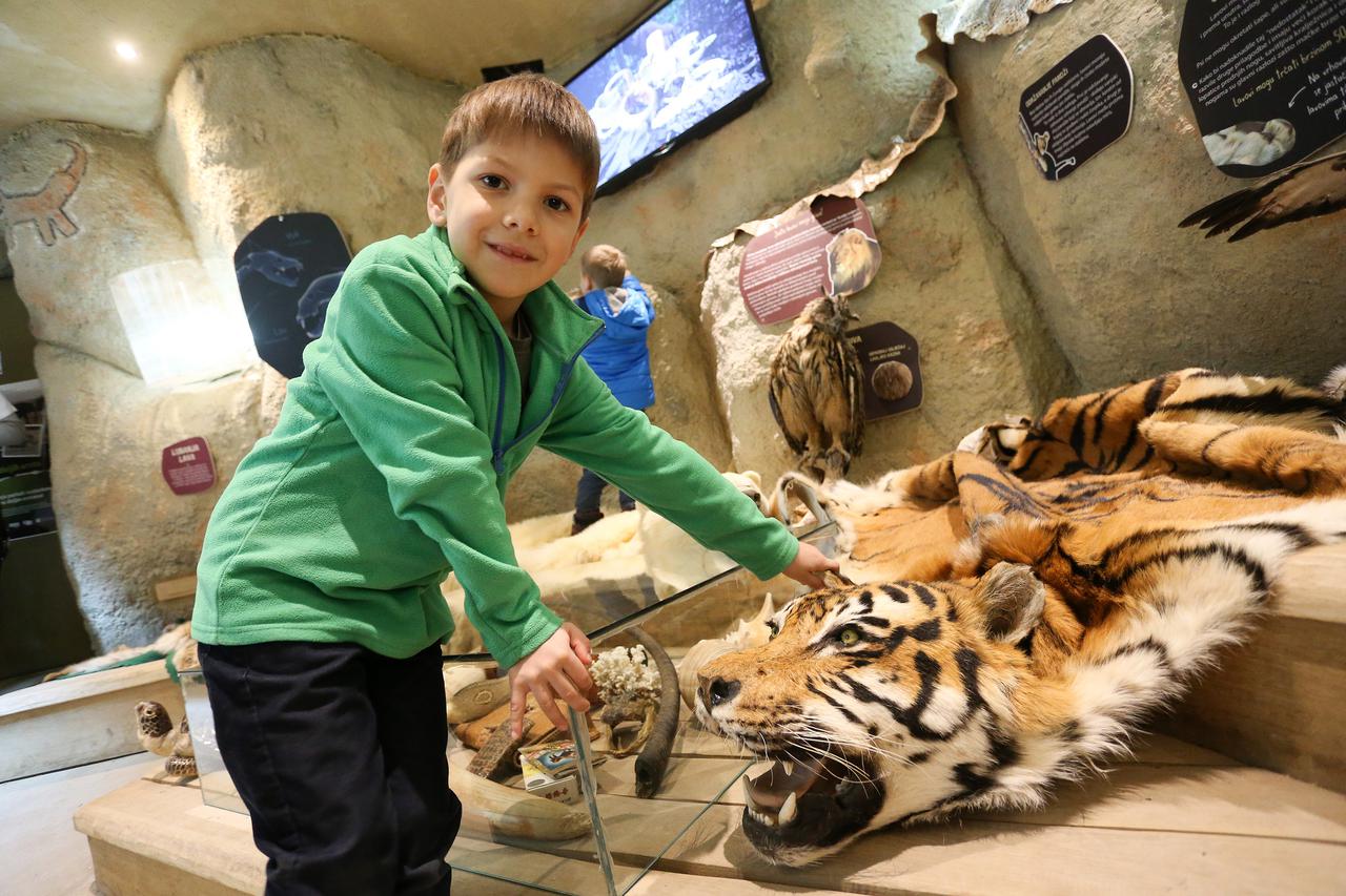 Zoološki vrt- dan divljih vrsta