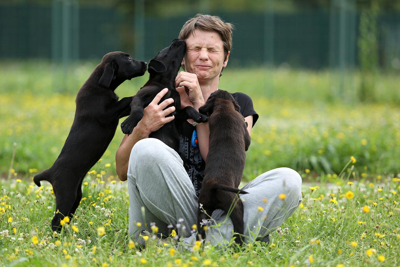 06.08.2014., Zagreb - Tanja Janes iz Centra za rehabilitaciju Silver ištenad koja treba obitelji za socijalizaciju Photo: Anto Magzan/PIXSELL