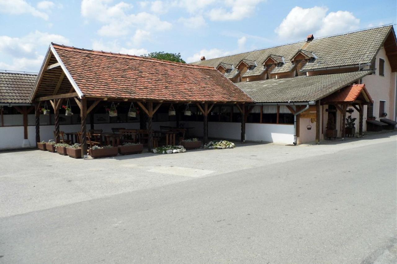 Dravska iža