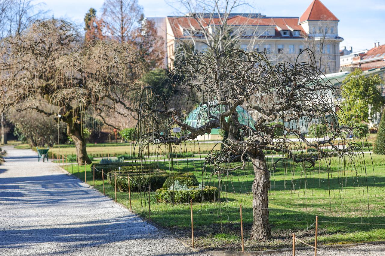Zagreb: Botanički vrt otvara svoja vrata nakon zimske pauze 