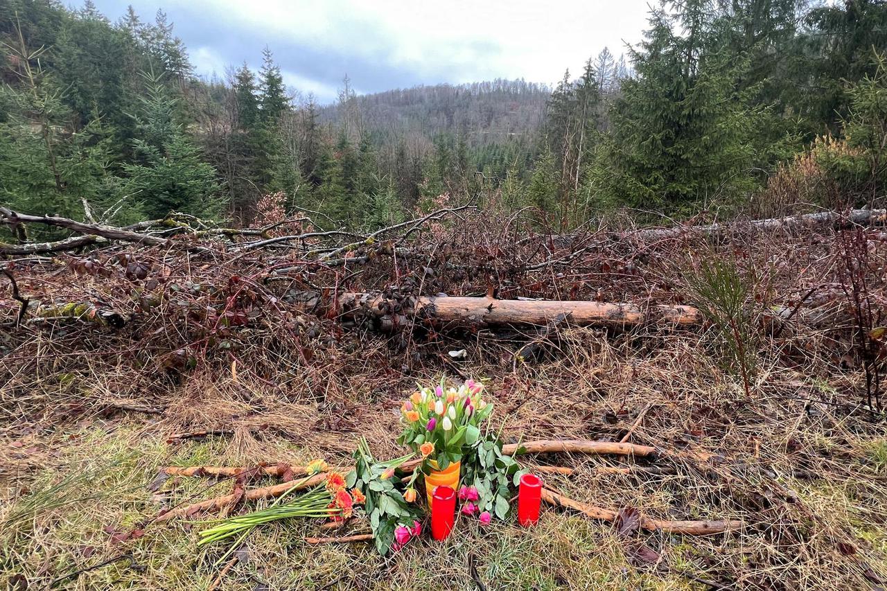 12-year-old schoolgirl Luise found dead in a woodland in Hohenhain
