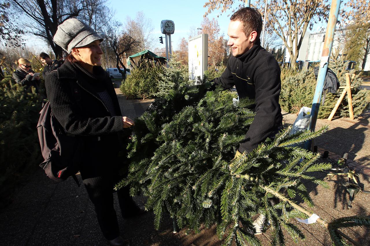 22.12.2015., Zagreb - Prodaja bozicnih jelki i borova kod  na platou Mamutice. Photo: Robert Anic/PIXSELL