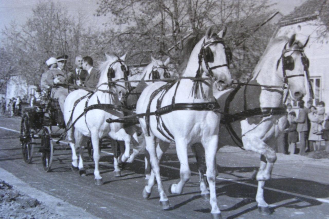 kraljica Elizabeta II.