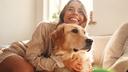 Dogs Constantly Tell Us Things, Just Not With Words: How to Simply Read Their Body Language