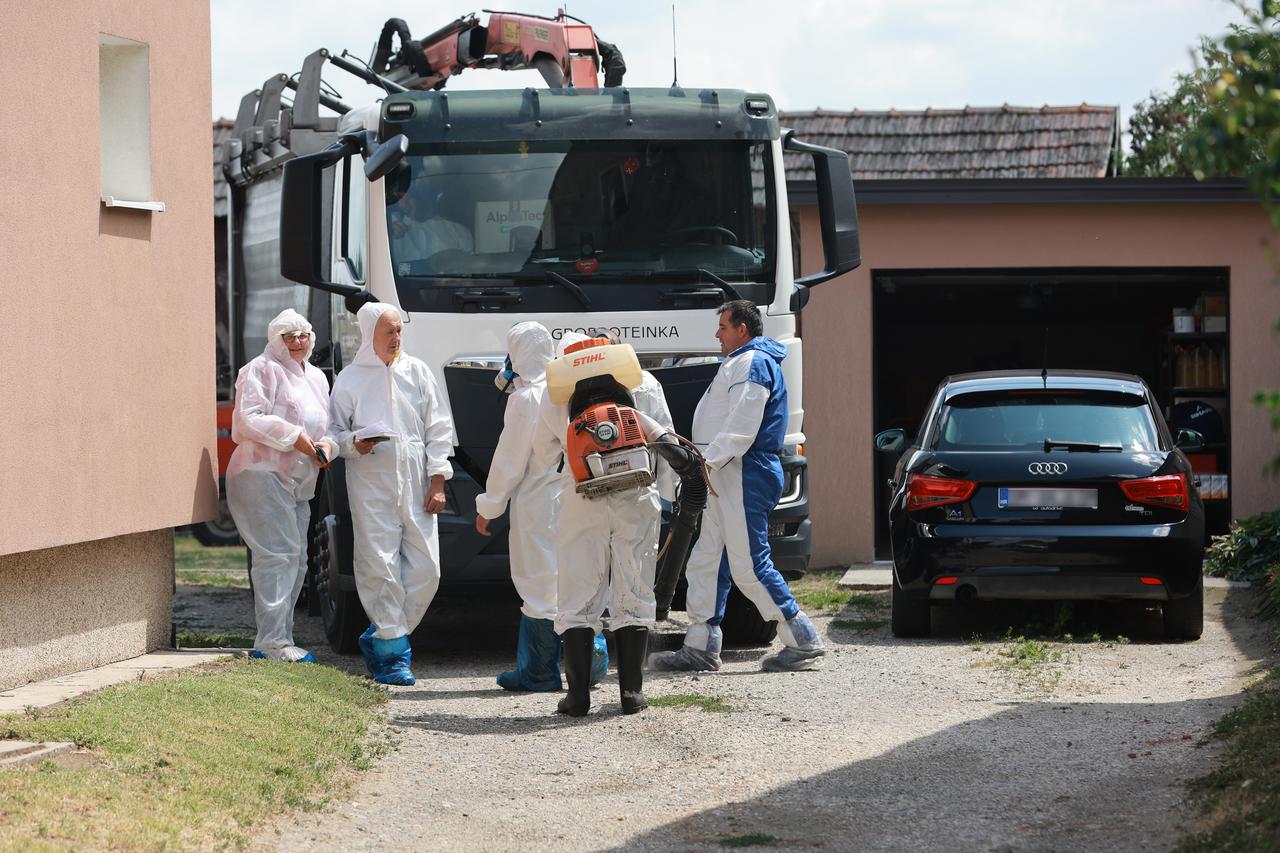 Jagodnjak: Započela je eutanazija životinja zaraženih svinjskom kugom