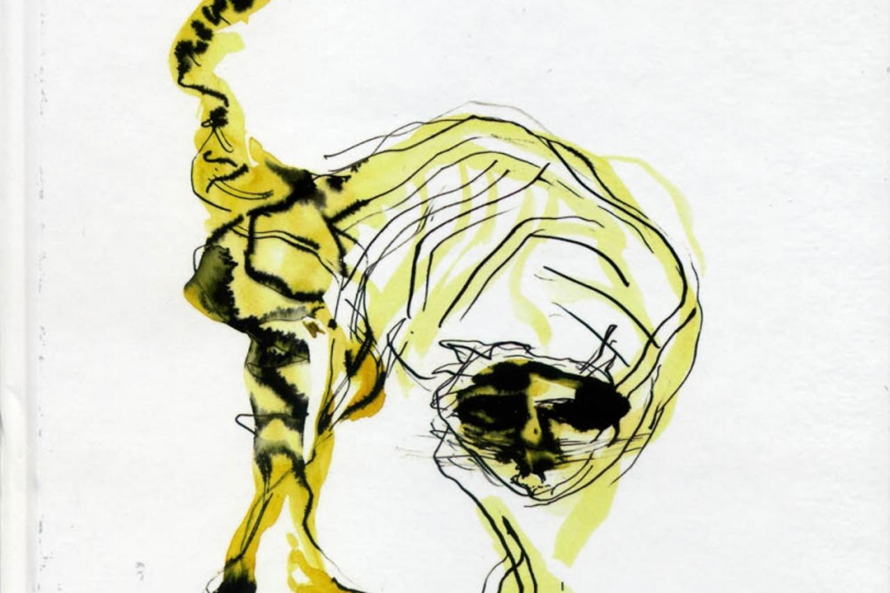 Tigar