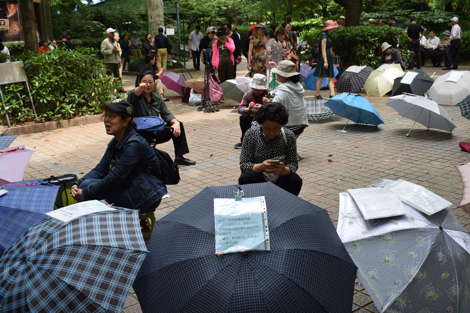 Peoples square: Šangajska bračna tržnica održava se svaki vikend i ljudi na kišobranima ispisuju bračne ponude
