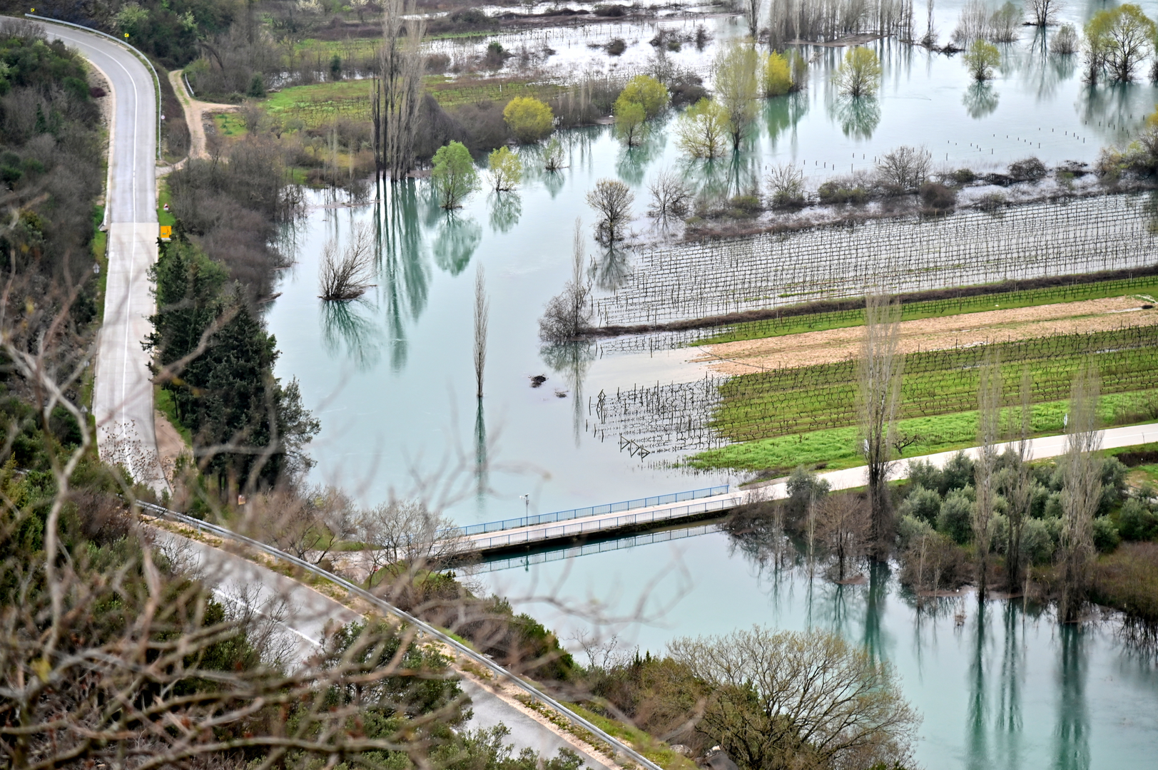 – Vinogradi to s lakoćom prežive, a voćnjaci i nisu na pozicijama gdje je velika voda – napominje. Iako se čini da je voda ušla i u plastenike, Franić nas uvjerava kako je i tamo sve pod kontrolom – i jagode su na suhom. Upravo su u fazi bujne cvatnje, a kako je ove godine nešto hladnije i nema previše sunca koje bi ubrzalo rast i dozrijevanje, očekuje se da će prve domaće, vrgoračke jagode na tržište kasniti 10 do 15 dana u odnosu na lanjsku godinu - kaže Milan Franić.