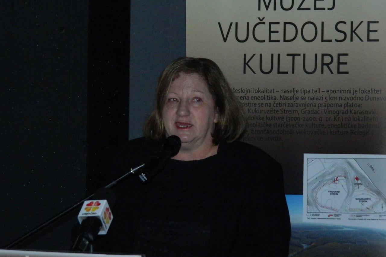 Muzej vučedolske kulture