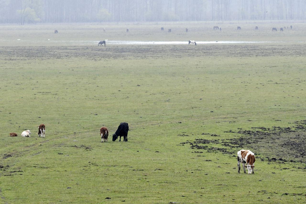 Turistička patrola iz moslavačkog vinogorja i Lonjskog polja