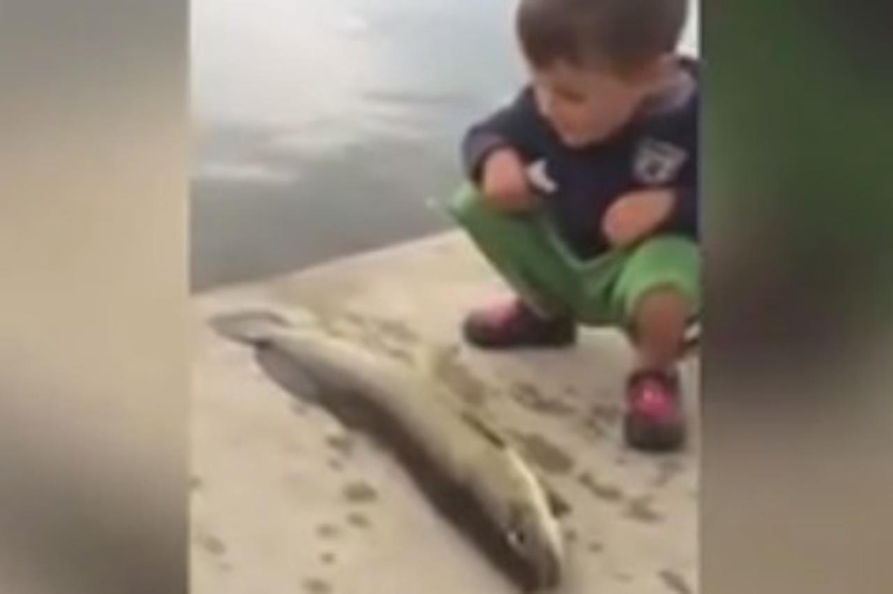 Dječaka 'ošamarila' riba