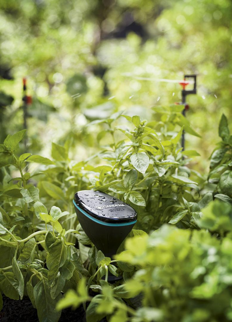 Pametni senzor je instaliran u zemlju pored bilja, gdje mjeri vanjsku temperaturu i intenzitet svjetla