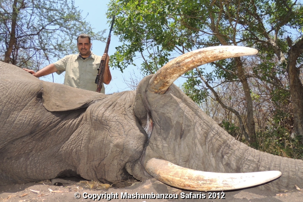 Nadan Vidošević na safariju