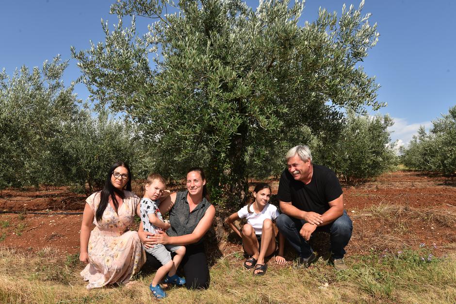 OPG DARIO PAULIŠIĆ