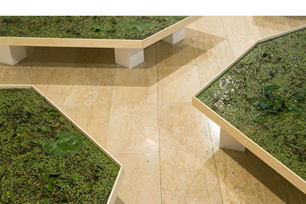 Izložba "Stagnacija"