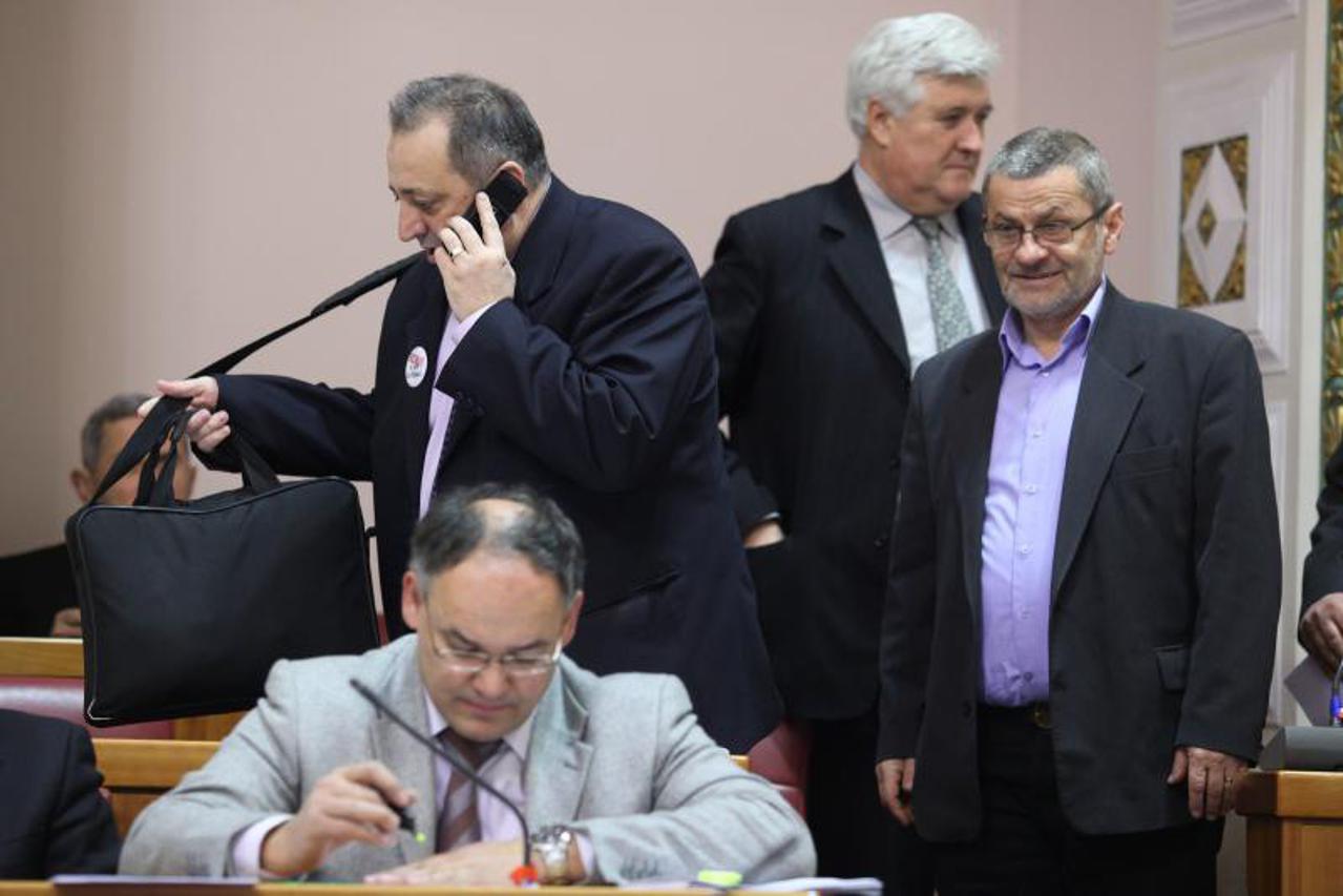 Rasprava u Saboru (1)