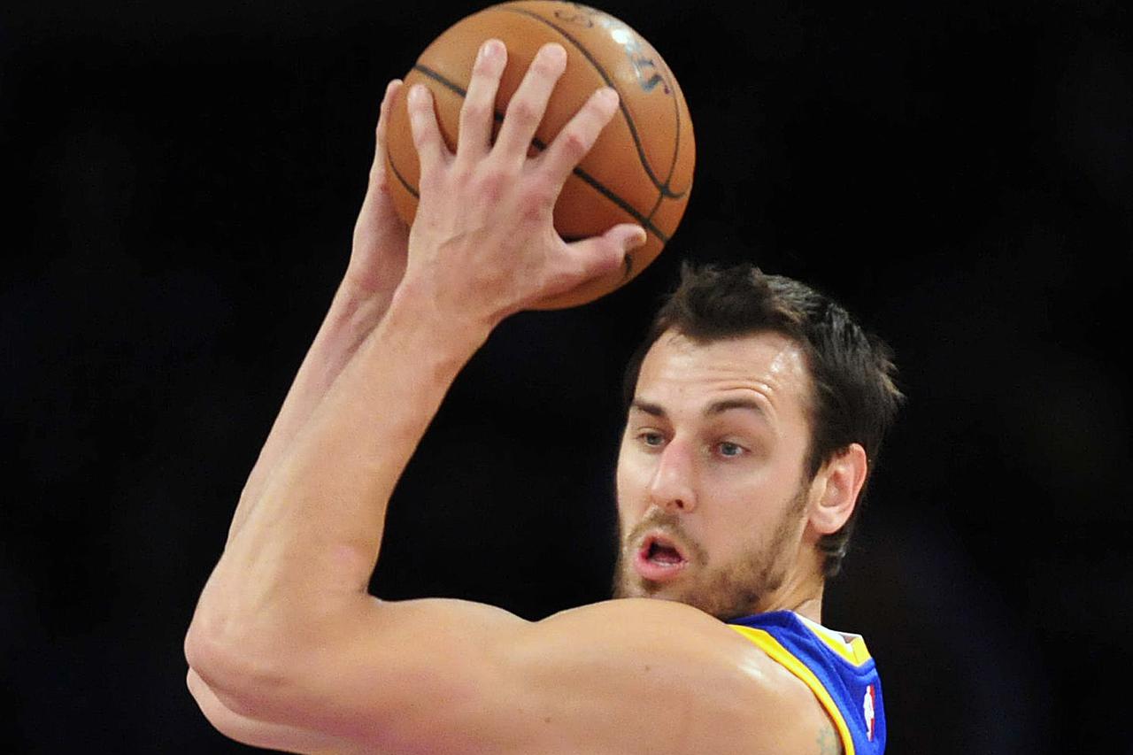 Andrew Bogut