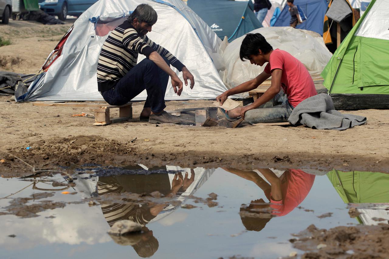 migranti
