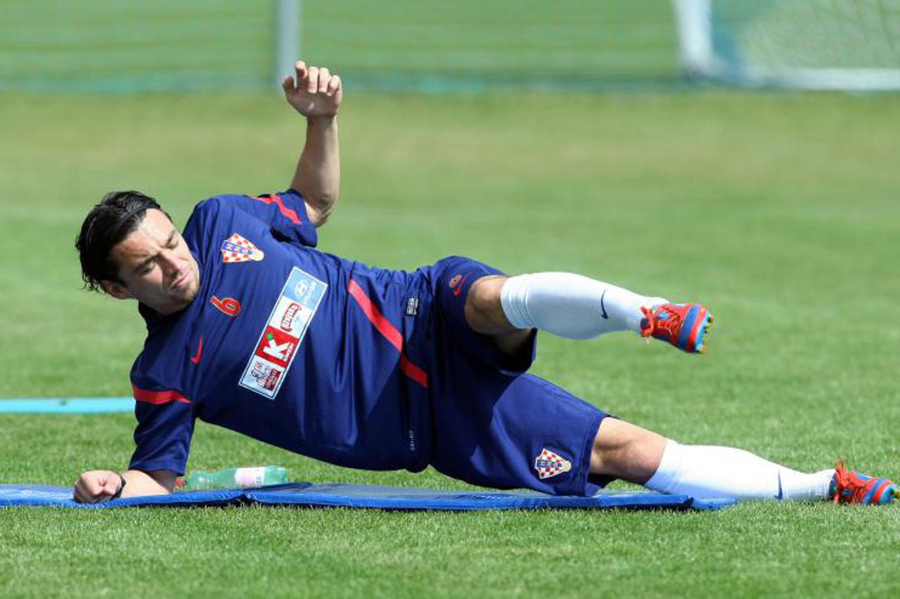 Danijel Pranjić (1)