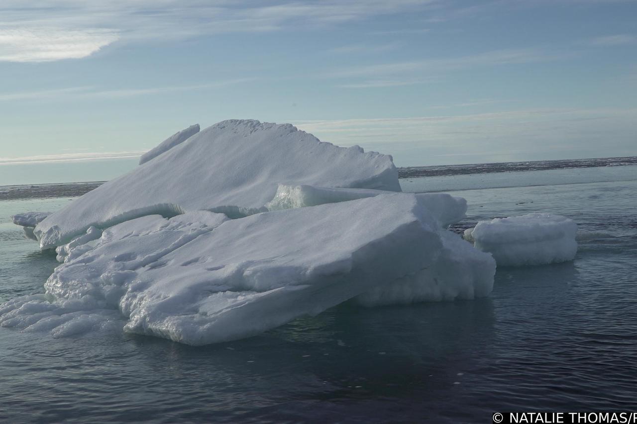FILE PHOTO: Pieces of floating ice with polar bear footprints on them are seen from the Greenpeace's Arctic Sunrise ship at the Arctic Ocean