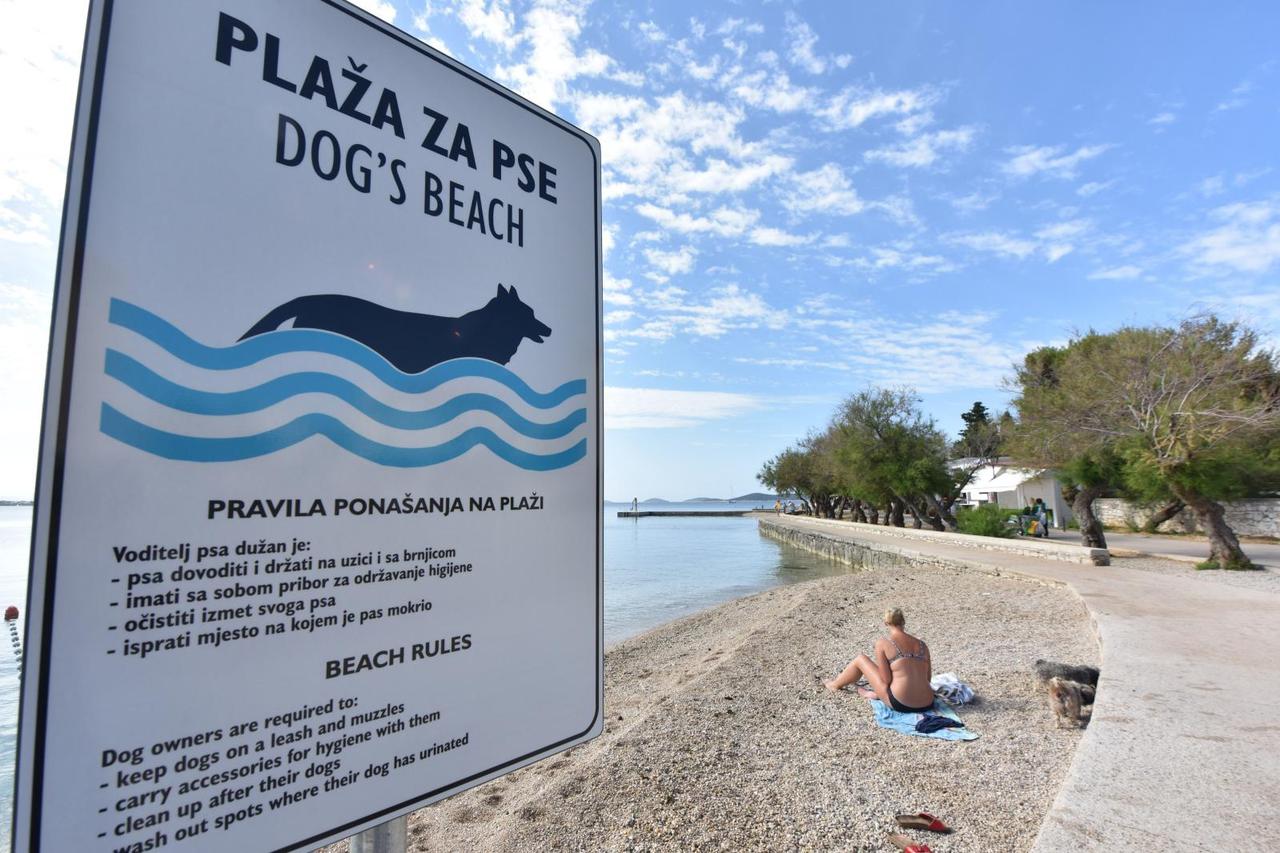 Plaža za pse