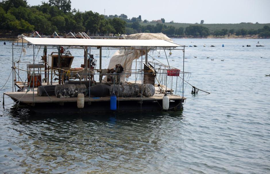 Turisticka patrola Vecernjaka Vabriga