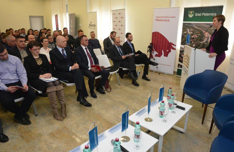 Poslovni uzlet Pleternica