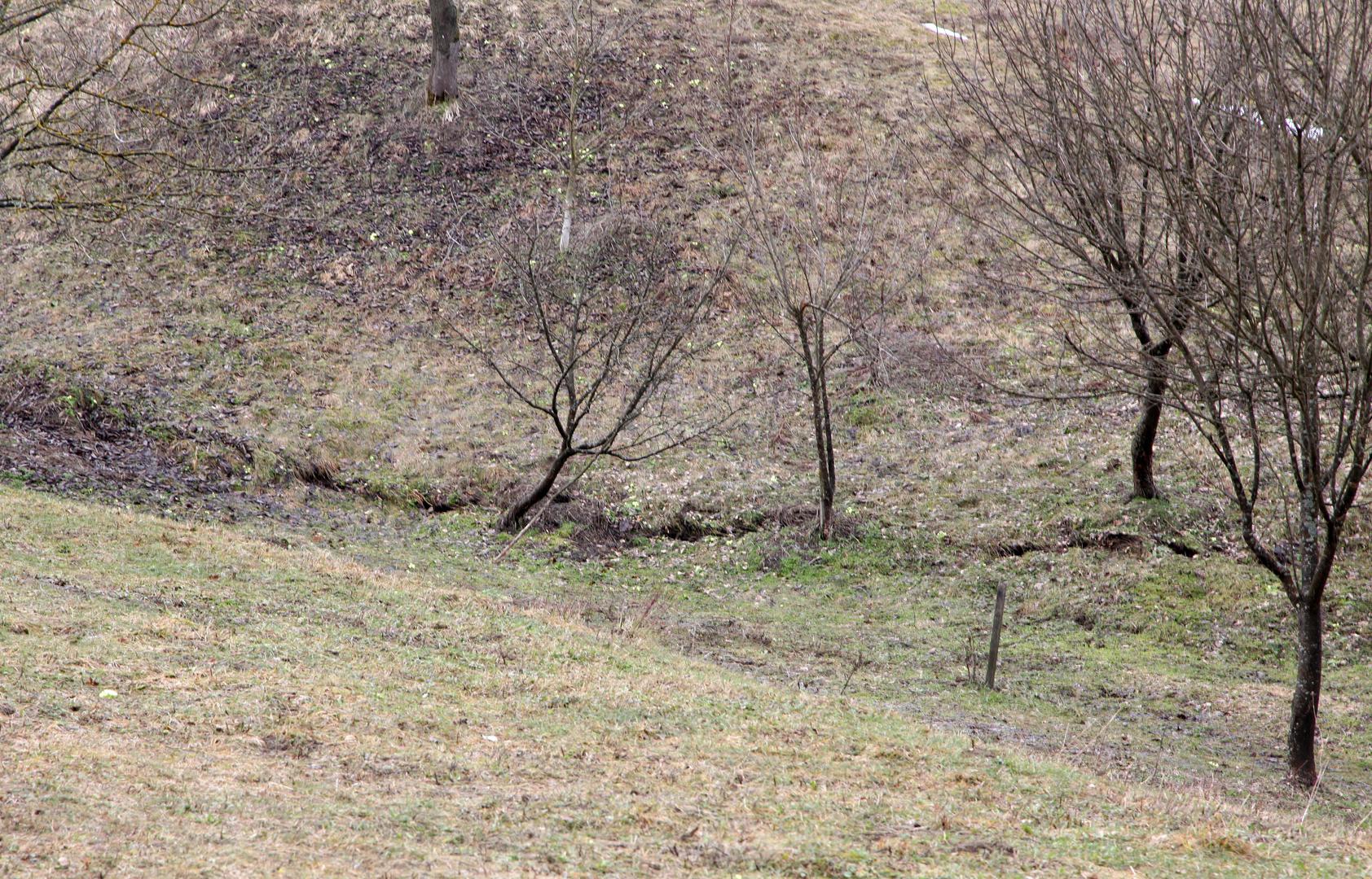 Na teren su izašli geolozi koji bi trebali dati procjenu opasnosti.