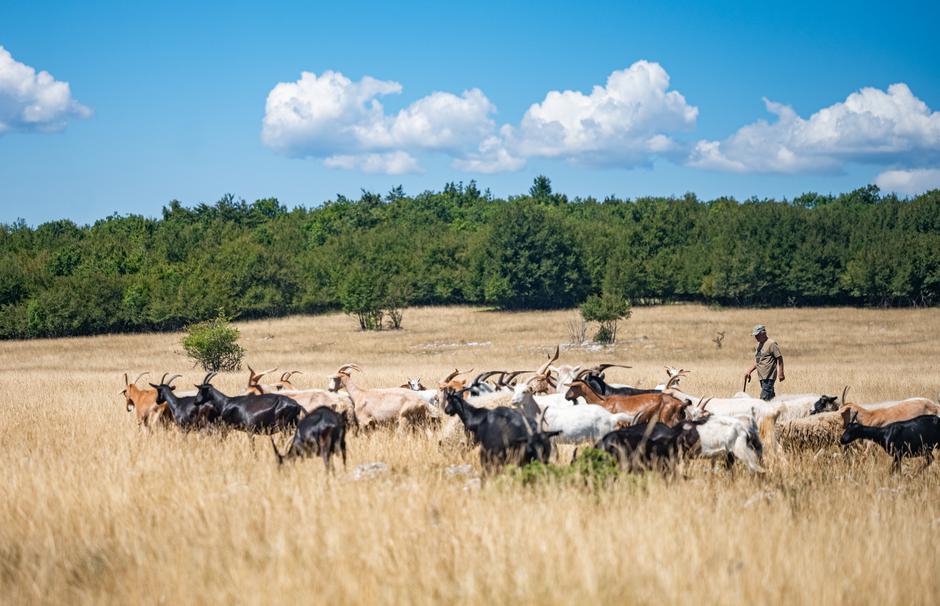 Podravina i Lika HTZ