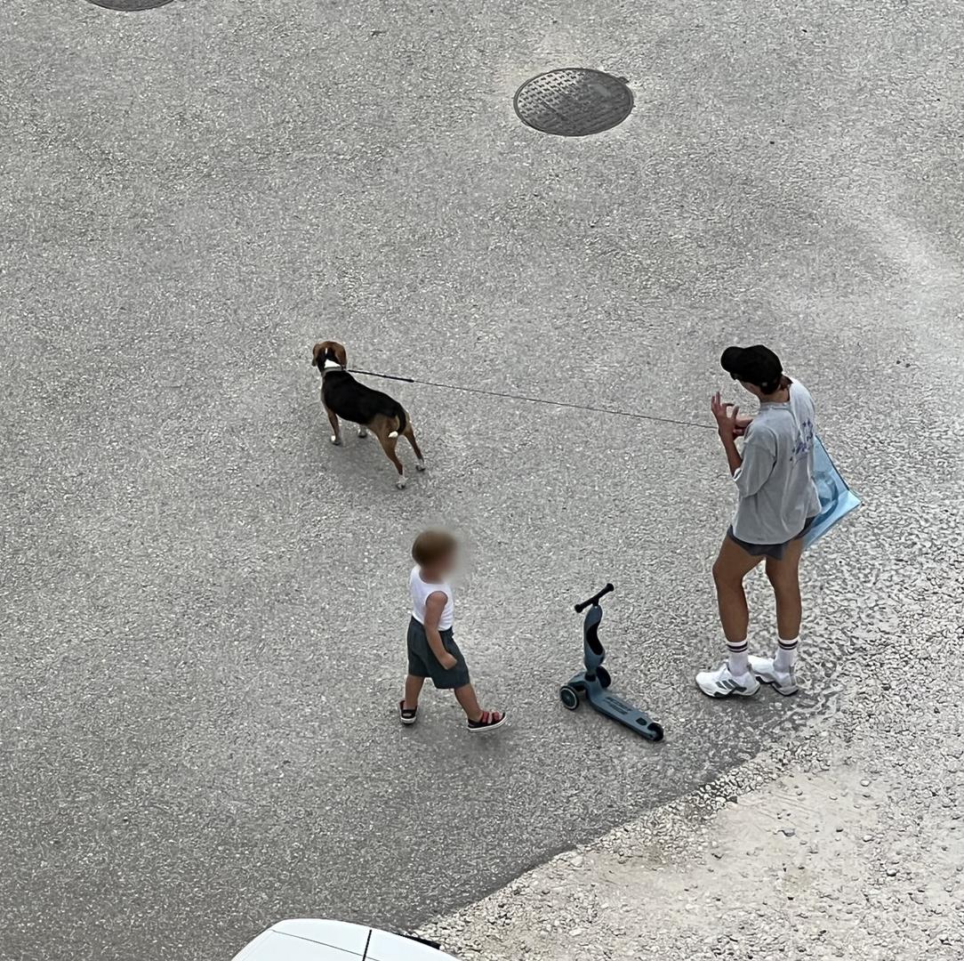 Jedan od čitatelja Večernjeg lista ovjekovječio je lijep prizor iz svakodnevice proslavljene hrvatske atletičarke Blanke Vlašić. 