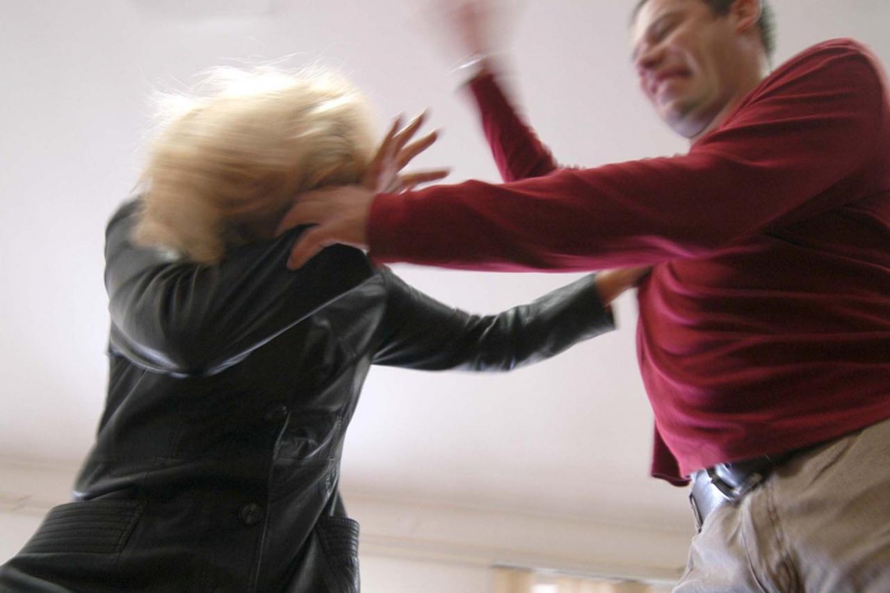 \'IPL-PULA  NASILJE NAD ZENAMA OSNIVA SE SIGURNA KUCA U PULI FOTO DUSKO MARUSIC UZ vesne brnabic\'