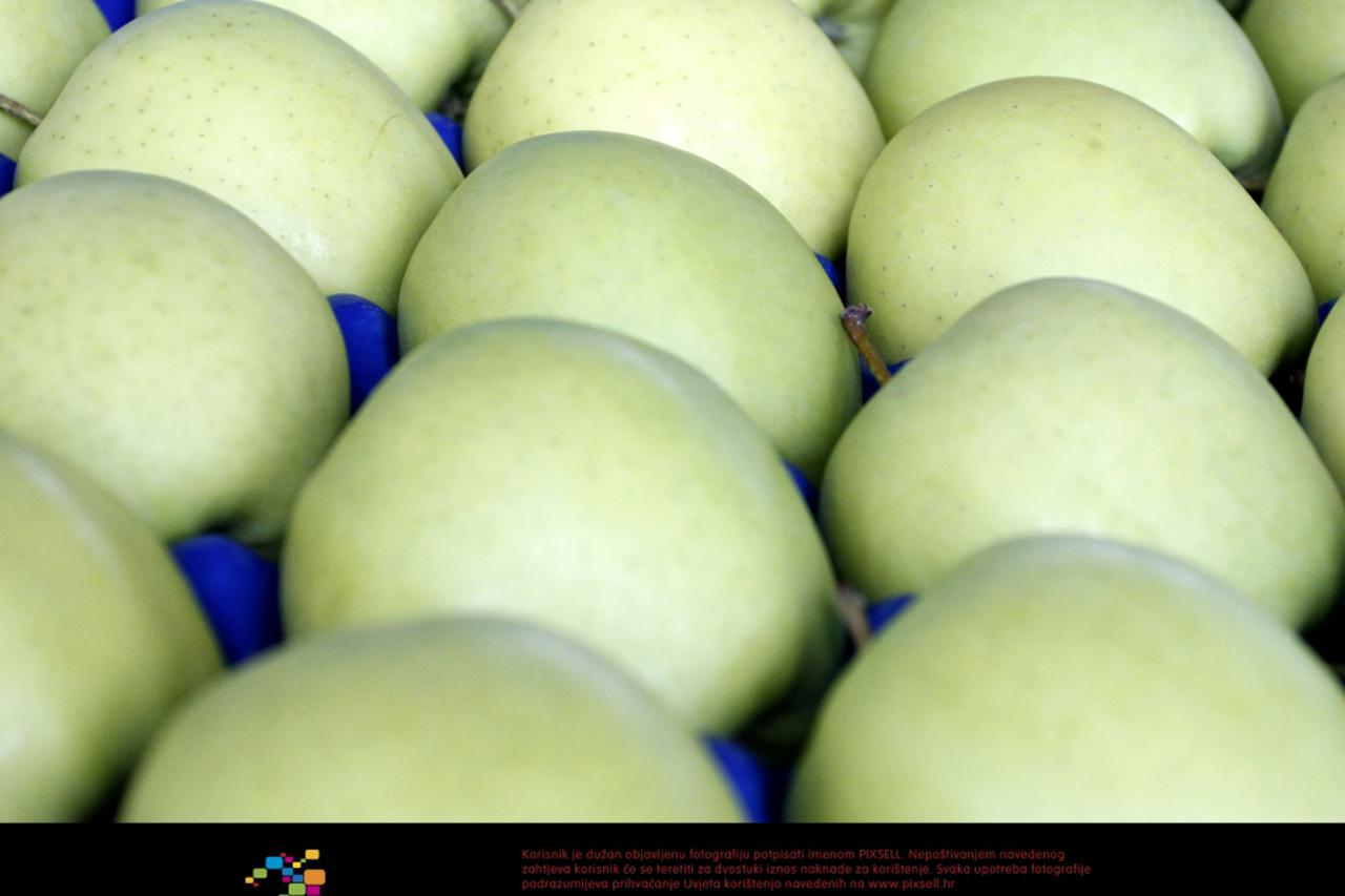 tihomir jakovina,jabuke (1)