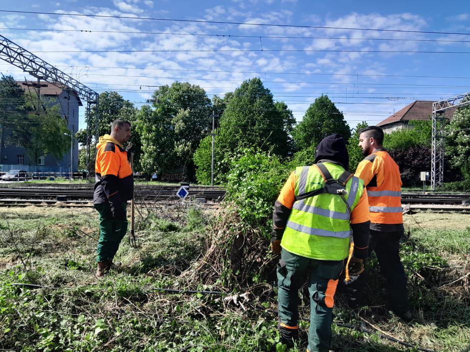 Akcija čišćenja u Sesvetama u organizaciji Rezolucije Zemlja