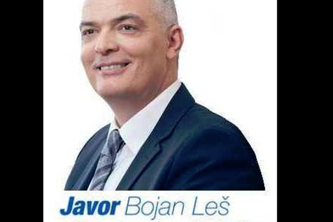 javor bojan les