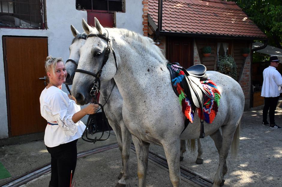 OPG Slavonska priča iz Rešetara