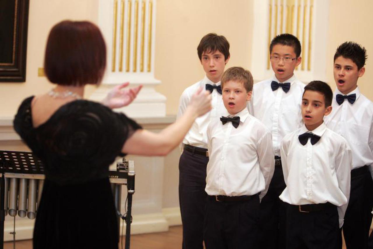 Zagrebački dječaci (1)