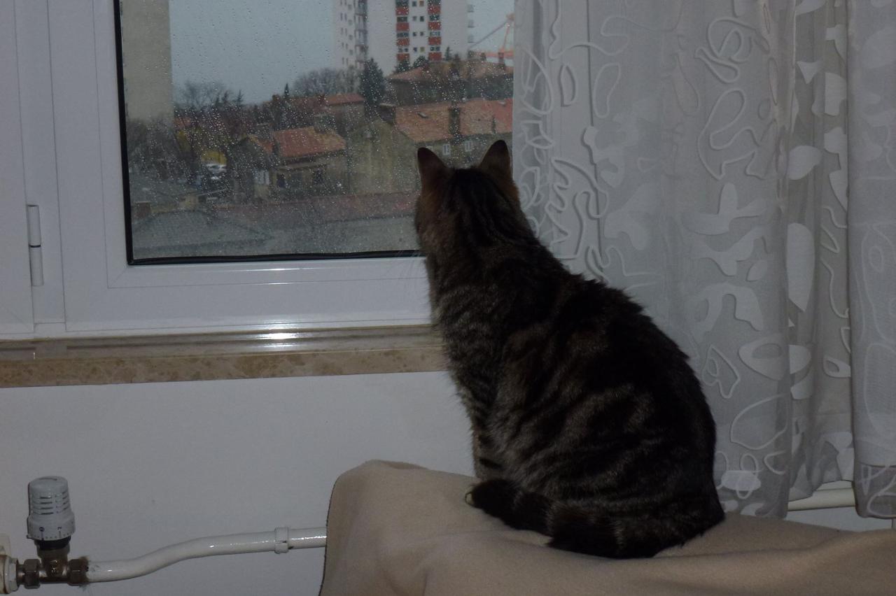 Lunjo i Maza