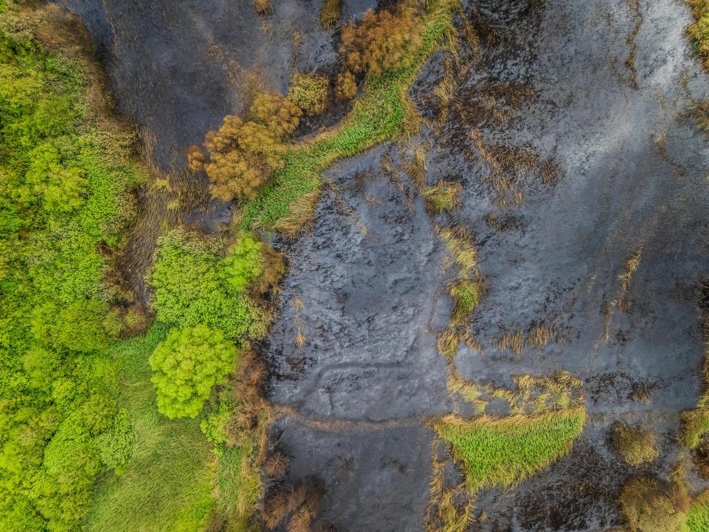 Zaštićen je od 1974. godine, a kao dio Delte Neretve od 1993. je na popisu močvara od međunarodnog značaja prema Ramsarskoj konvenciji.