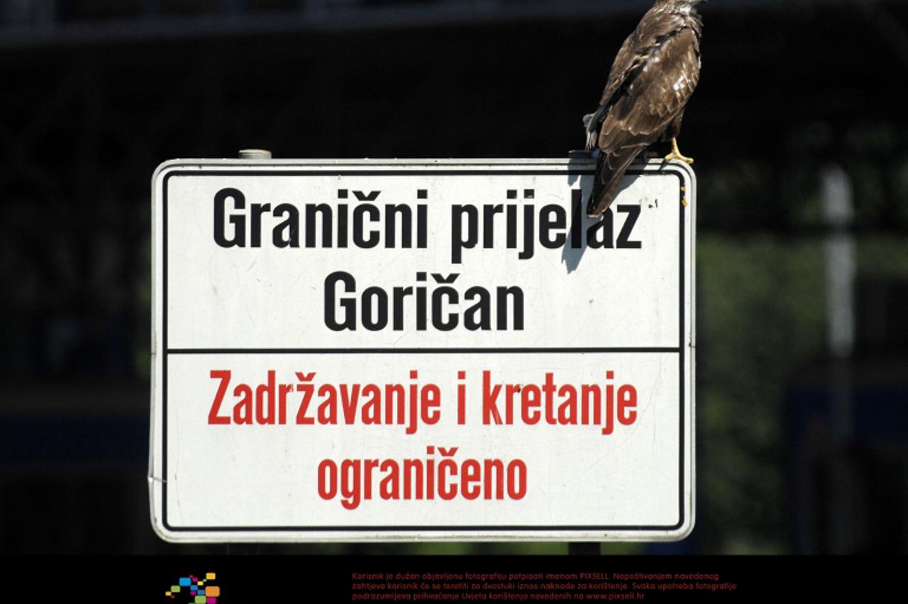 '10.09.2011., Gorican - Skanjac misar (Buteo buteo) na znaku granicnog prijelaza Gorican. Photo: Vjeran Zganec-Rogulja/PIXSELL'