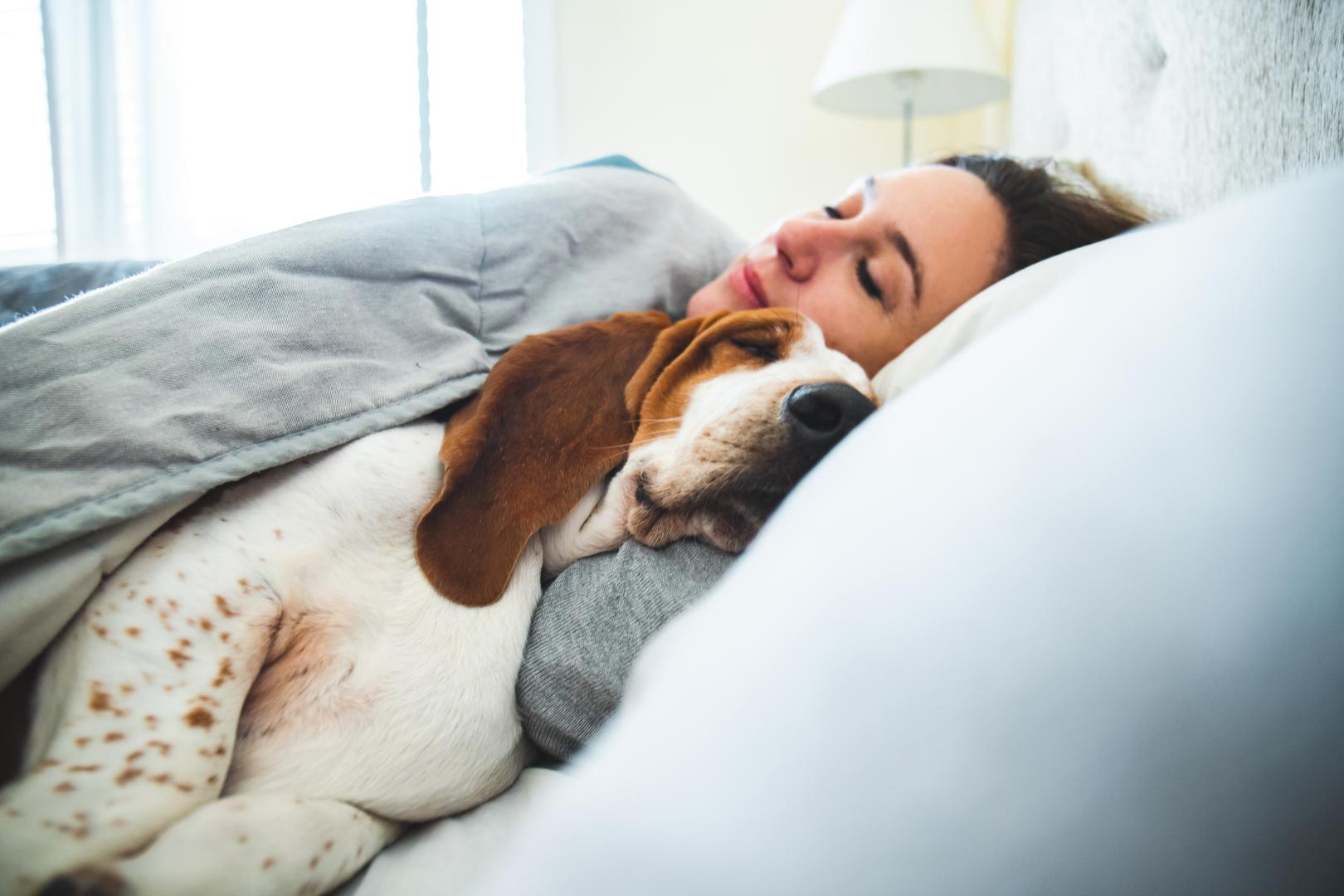 8. Promjena navika spavanja: ‘Psi mogu izgledati umornije i potištenije kada su usamljeni’, otkriva Golya. Zbog toga, ako shvatite da vaš ljubimac spava više nego inače, to bi mogao biti znak da se ne osjeća najbolje.