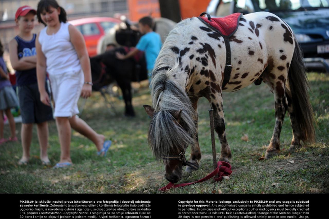 '10.08.2013., Zagreb - Klarinje, 20. proslava Sv. Klare i dan otvorenih vrata vatrogasaca. Photo: Daniel Kasap/PIXSELL'