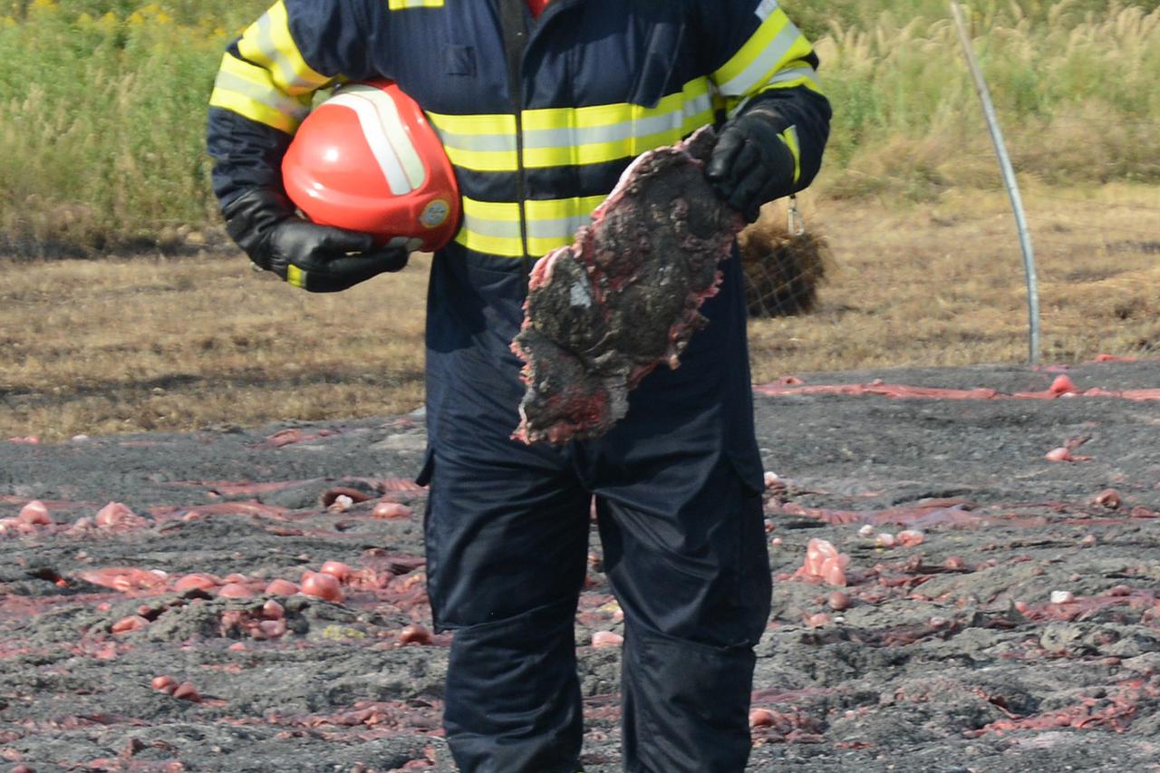 Požar