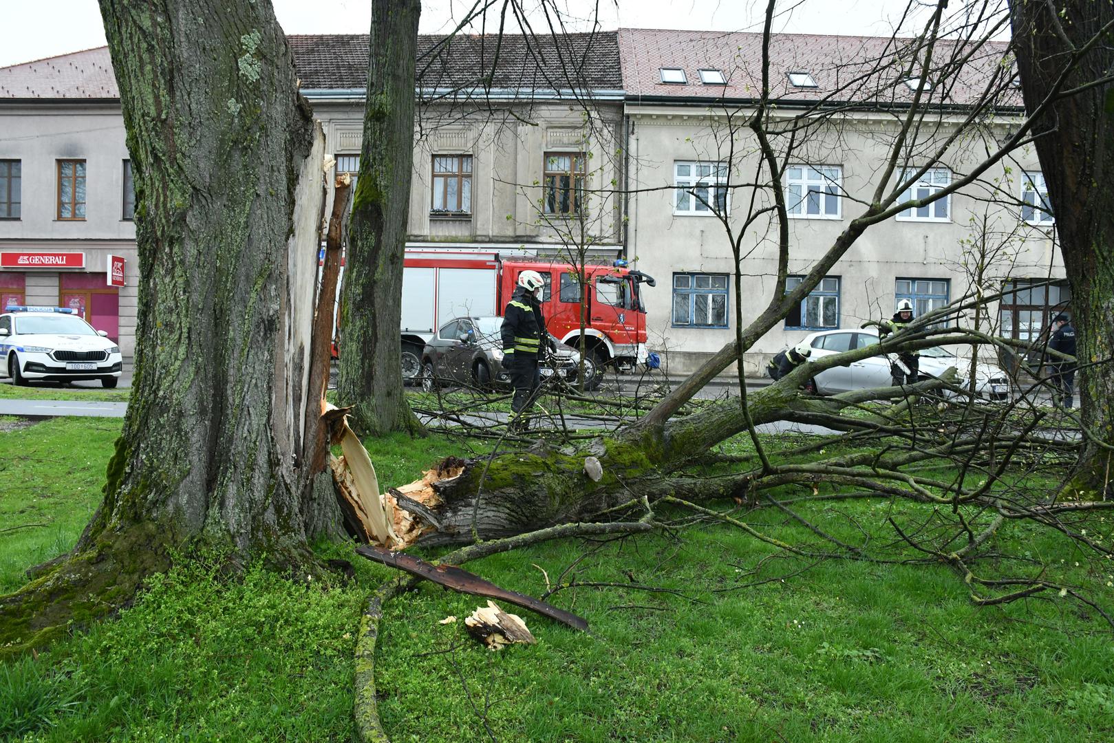 27.03.2023.,Sisak - Sisacki vatrogasci morali su rezati ostatke drveta koje je puknulo pod naletom jakog vjetra i ostetilo parkirani automobil u Rimskoj ulici.  Photo: Nikola Cutuk/PIXSELL