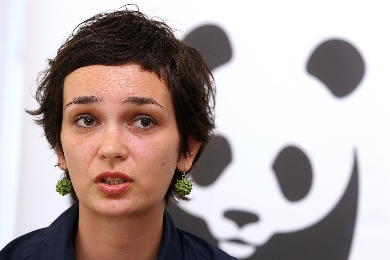 24.07.2012., Zagreb - Povodom planova za izgradnju novih hidroelektrana u Hrvatskoj i Bosni i Hercegovini (HE Dubrovnik II, HE Dabar-Gornji Horizonti i HE Ombla), svjetska nevladina organizacija za zastitu prirode WWF organizirala je konferenciju za medij