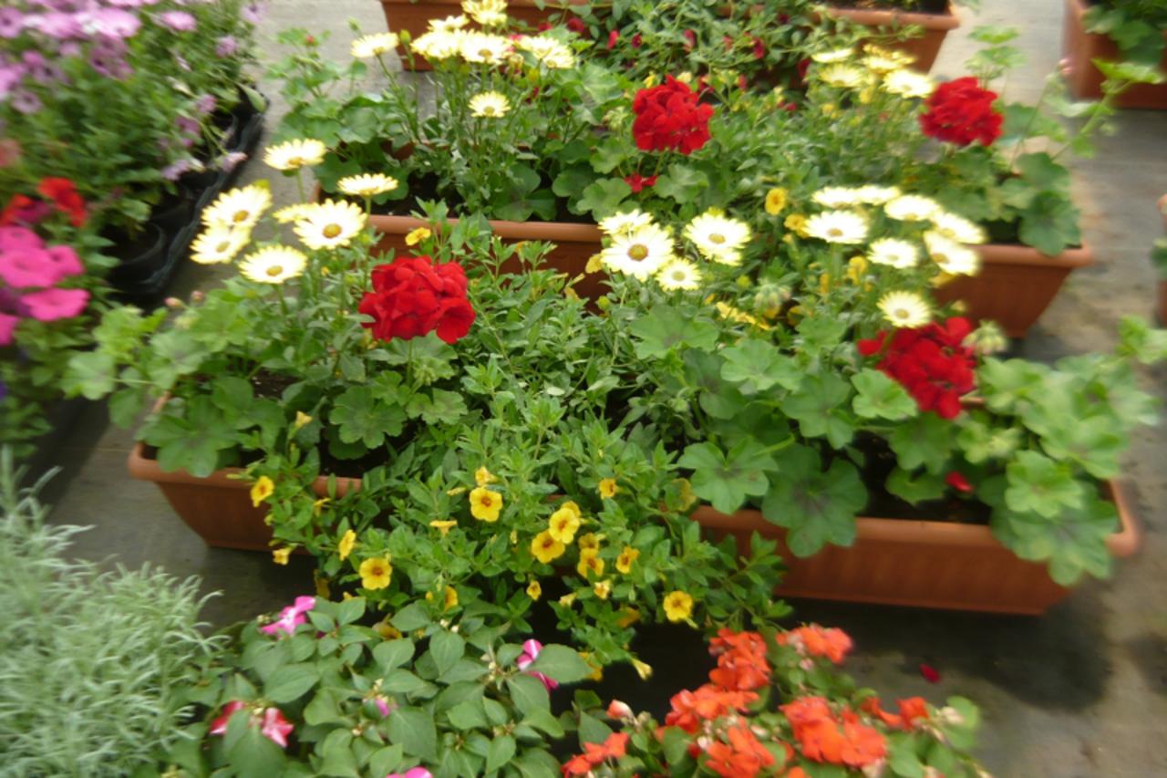 'balkon_nnn_ned_270510'