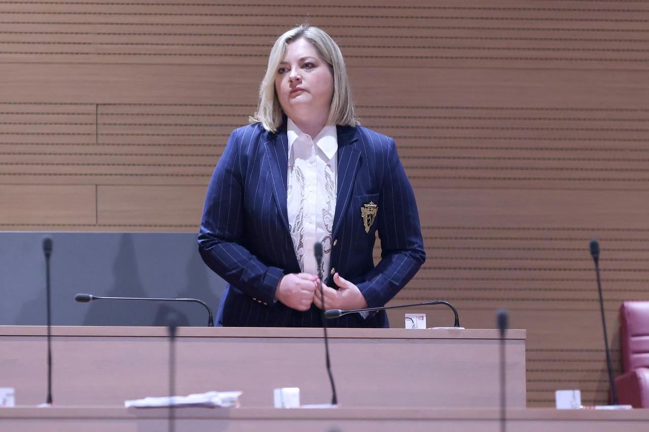 Zagreb: Sabor raspravlja o provedbi Plana protuminskog djelovanja