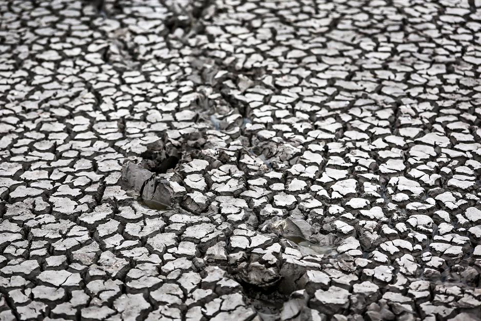 HUNGARY-PAKOZD-LAKE VELENCE-DROUGHT